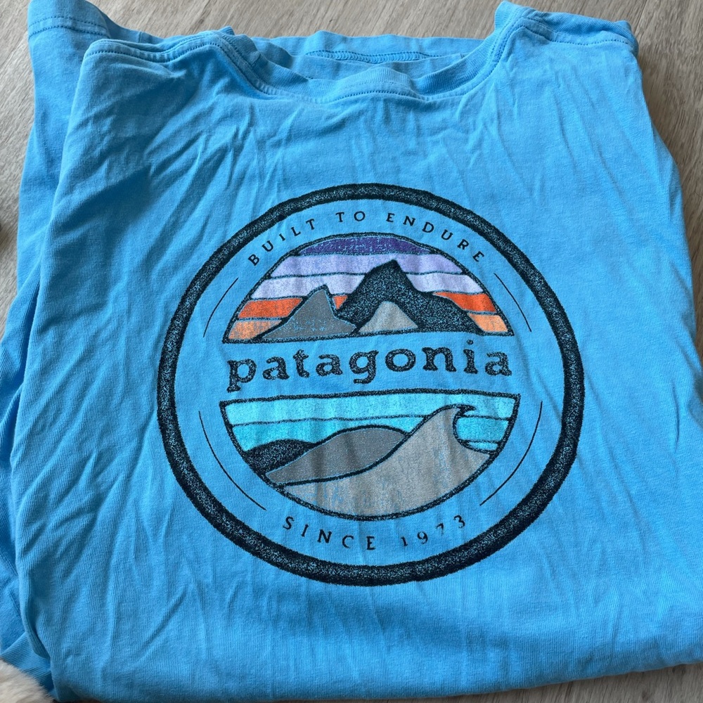 Patagonia men’s t shirt